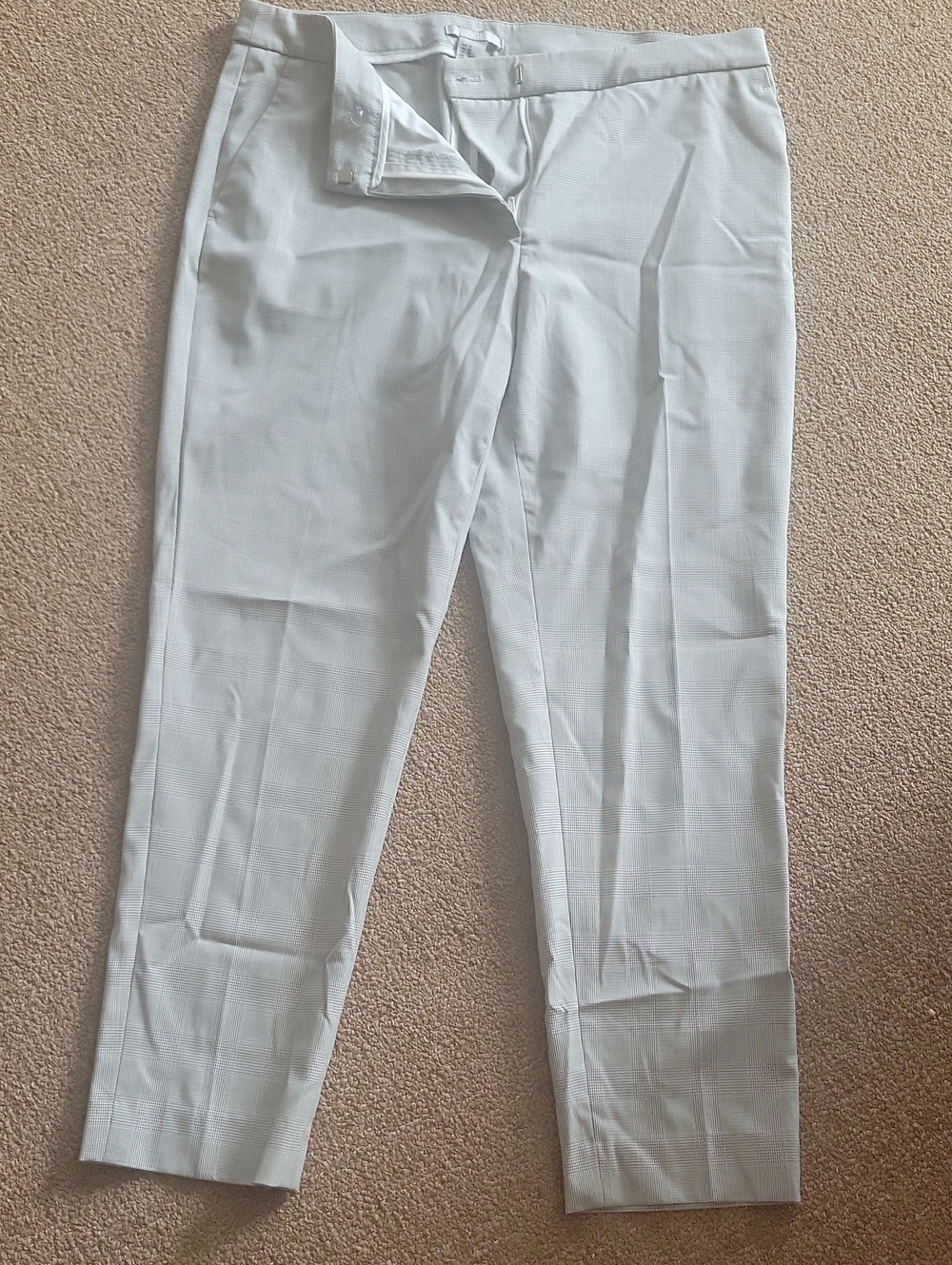 Woman Pleated Dresy Pants